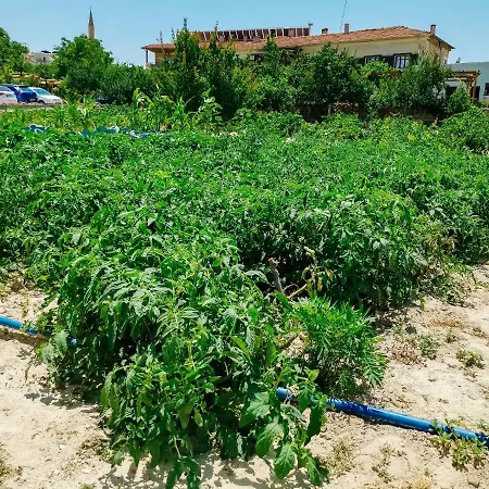 Отель Garden Cappadocia Гореме