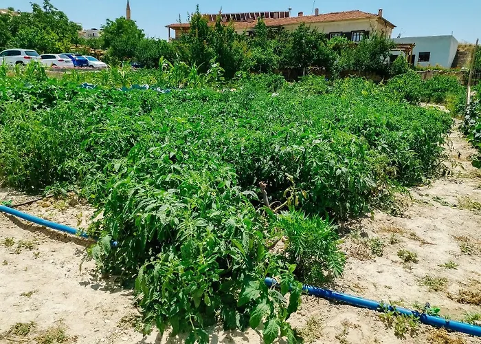 Hotel Garden Cappadocia Göreme